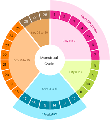 Ovulation and Fertility Days